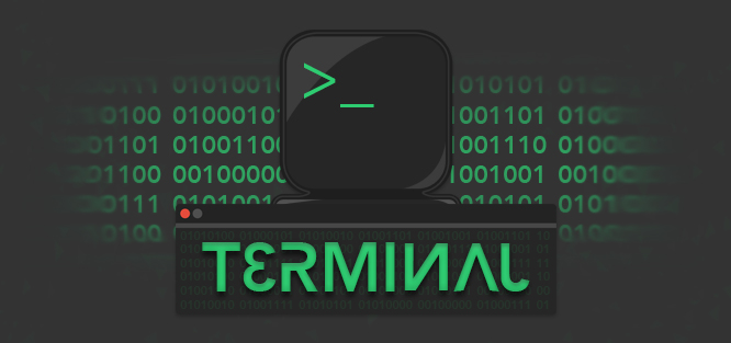 Terminal (Banner).jpg